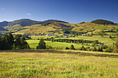 Bernau - Riggenbach, Sommertag, Schwarzwald, Baden-Württemberg, Deutschland, Europa
