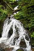 Rüttebach-cascades near Todtmoos, Summer, Black Forest, Baden-Württemberg, Germany, Europe