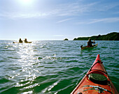 Seakayaking, people in kayaks in the sunlight at Torrent Bay, North coast, Abel Tasman National Park, South Island, New Zealand