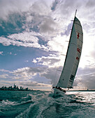 Sailing boat at full speed off Waitemata Harbour under clouded sky, Auckland, North Island, New Zealand