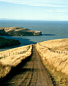 Leere Landstraße oberhalb der Okains Bay im Sonnenlicht, Banks Peninsula, Südinsel, Neuseeland