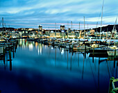 Sailing boats at Chaffers Marina at Lambton Harbour in the evening, view at Central Business District, Wellington, North Island, New Zealand