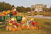 Halloween decorations in Louisiana, USA