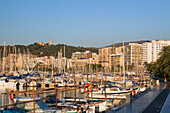 Marina in the sunlight, Palma, Mallorca, Balearic Islands, Mediterranean Sea, Spain, Europe