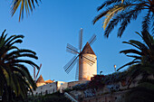 Historic windmills of Es Jonquet with city wall at the Old Town of Palma de Mallorca, Mallorca, Balearic Islands, Mediterranean Sea, Spain, Europe