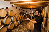 Oak barrels and oenologist in the wine cellar Bodega La Geria, La Geria, Lanzarote, Canary Islands, Spain, Europe