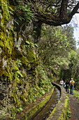 Family beim Wandern, Wasserkanal, mit Moos bedeckt, Galeria de agua, Fuentes Marcos y Cordero, Naturschutzgebiet, Parque Natural de las Nieves, Ostseite des erloschenen Vulkankraters, Caldera de Taburiente, über San Andres, UNESCO Biosphärenreservat, La P