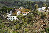 Pilgrimage church, Santuario de Nuestra Senora de Las Nieves, Las Nieves, near Santa Cruz de La Palma, UNESCO Biosphere Reserve, La Palma, Canary Islands, Spain, Europe