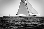 Ancient, And, Balearic, Balearic Islands, Barco, Barcos, Black, Boat, Boat race, Boat races, Boats, Bow, Cabos, Calm, Calmness, Chill out, Chilling out, Classic, Compete, Competición, Competing, Competition, Competitions, Contemporary, Day, Daytime, De, E