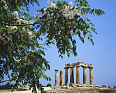 Doric temple of Apollo in ancient Corinth,  Peloponnese,  Greece
