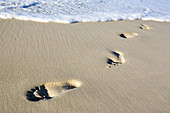 Foot prints on Gold Coast beach,  Queensland,  Australia
