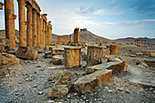 Ruins of the old Greco-roman city of Palmyra,  Syria