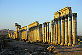 Ruins of the ancient Roman city of Apame,  Syria