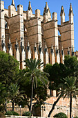 Mallorca,  Palma de Mallorca,  Catedral,  La  Seu