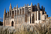 Mallorca,  Palma de Mallorca,  Catedral,  La  Seu