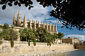 Balearic Island. Spain. Mallorca. The cathedral of La Seo