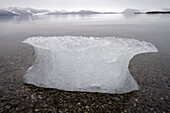 Sea ice at Ny Alesund. Spitsbergen island,  Svalbard archipelago,  Arctic Ocean,  Norway