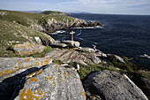 Ons island,  Atlantic Islands National Park,  Galicia,  Spain