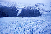 Franz Josef Glacier,  South Island,  New Zealand
