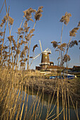 Cley Mill and Reedbed Norfolk Winter