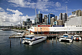 AUSTRALIA - New South Wales (NSW) - Sydney: City Skyline from Darling Harbour