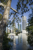 Australia - Queensland - Brisbane: Highrise buildings by Riverside Centre along the Brisbane River in the morning