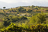 Italy,  Abruzzo  Hill country west of Pascara