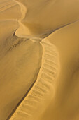 Dunes,  Namib desert,  Swakopmund,  Namibia