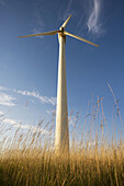 Wind turbine in Denmark