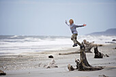 Haast,  South Island,  New Zealand