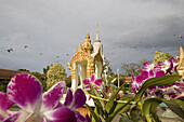 Blüten vor exotischem Pavillon unter grauen Wolken, Phnom Penh, Kambodscha, Asien