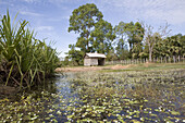 Einsame Hütte an einem Teich, Provinz Siem Reap, Kambodscha, Asien