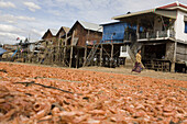 Dried shrimps in the Fishing Village Kampong Phlug at Tonle Sap Lake, Siem Reap Province, Cambodia, Asia