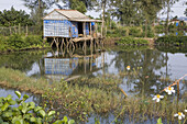 Fischerhütte auf Stelzen am Fluss, Provinz Quang Nam, Vietnam, Asien