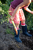 Girl (8-9 years) holding carrot, Lower Saxony, Germany