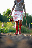 Mature woman in a vegetable garden, Lower Saxony, Germany