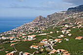 Blick über Häuser und Weinberge der Madeira Wine Company, Estreito de Camara de Lobos, Madeira, Portugal