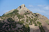 Berg Pico de Ana Ferreira, Porto Santo, nahe Madeira, Portugal