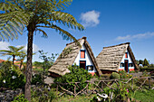 Traditional A-framed Palheiro Houses, Santana, Madeira, Portugal