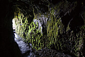 Tunnel durch Fels am Levada do Caldeiro Verde Wanderpfad, Queimadas, Madeira, Portugal