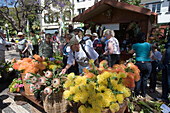 Flower Stall at the Madeira Flower Festival, Funchal, Madeira, Portugal