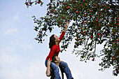 Woman on man's shoulders, reaching for an apple, Styria, Austria