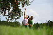 Couple under an apple tree, woman reaching for an apple, Styria, Austria