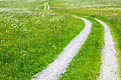 Path through meadow, mountain Staffel, Jachenau, Bavaria, Germany