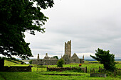 Die Ruine des ehemaligen gotischen Franziskanerkloster Moyne Abbey unter Wolkenhimmel, Killala Bay, County Sligo, Irland, Europa
