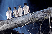 Four naked persons sitting on trunk in front of a waterfall, See, Tyrol, Austria