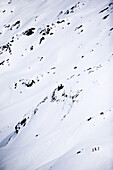 Snowboarder im Tiefschnee, Kappl, Tirol, Österreich