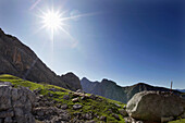 Schafe auf einer Almwiese, Oberes Reintal, bei Garmisch, Bayern, Deutschland