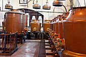 Distilling In Copper Vats Of The 27 Plants And Spices That Go Into The Liqueur, Benedictine Palace, Fecamp, Seine-Maritime (76), Normandy, France