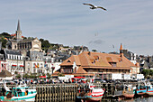 Boat And Seagulls, The Port Of Trouville-Sur-Mer, Calvados (14), Normandy, France